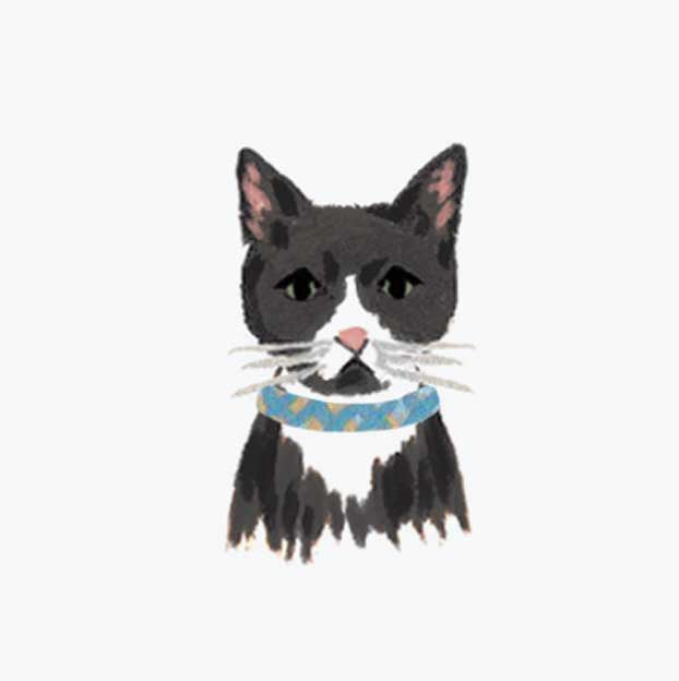 Pets Personalized Stationery - Cat 1